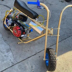 Candy Gold Stock Minibike